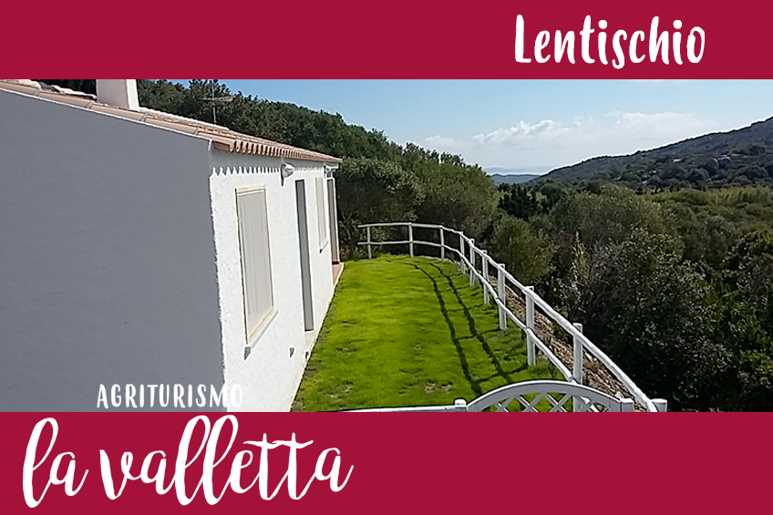 Lentischio Lentischio
