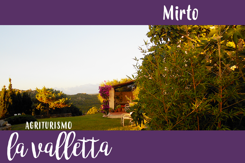 Mirto Mirto