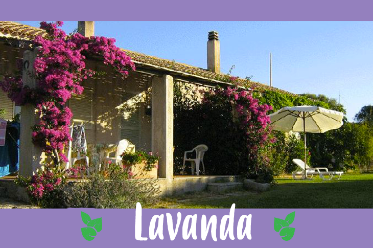 Appartamento di vacanza con terrazza e accesso al giardino, fornito di ombrellone e sedia a sdraio (La Valletta, Sardegna).