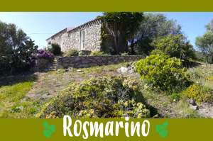 Giardino in collina e villetta in pietra “Rosmarino”, situata presso l’agriturismo La Valletta in Sardegna del nord.