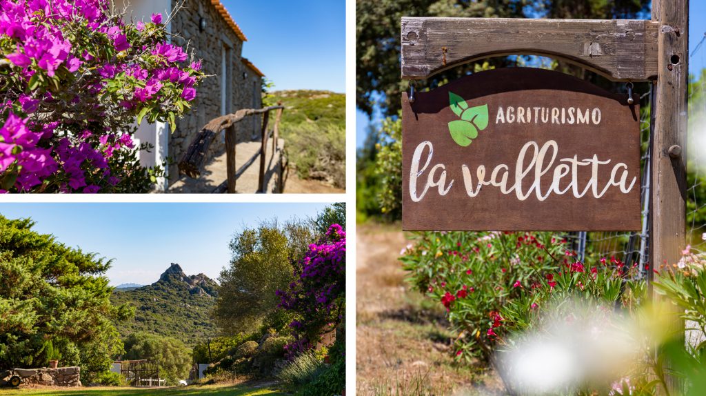 Vista sulla proprietà dell'agriturismo La Valletta e sulle colline in fiore della regione Caresi, nel Nord della Sardegna.