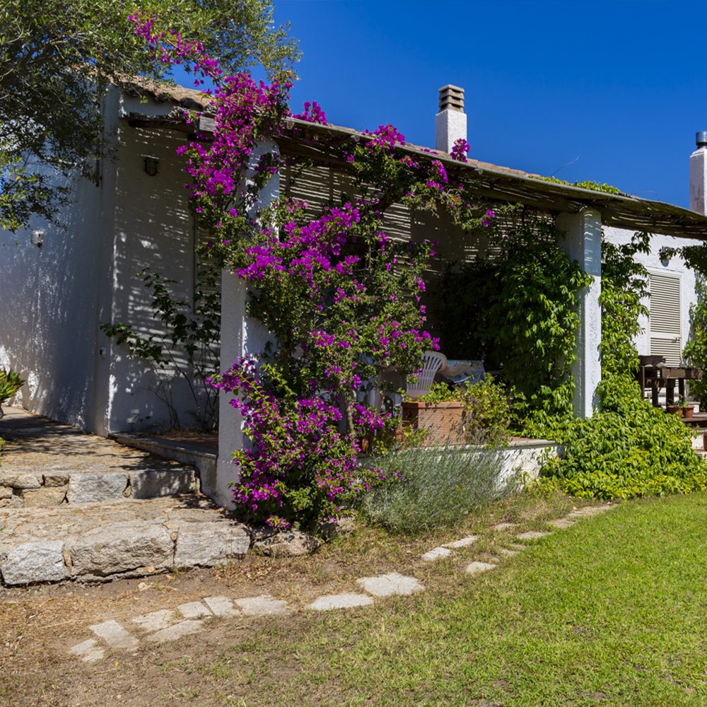 Vista esterno lavanda, ingresso con scale di granito e bouganville fiorite, agriturismo La Valletta, Sardegna.