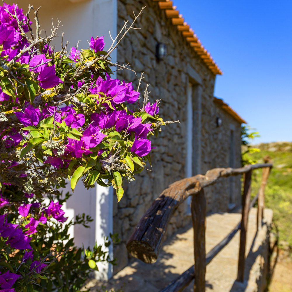 Scaletta di granito esterna della casa Rosmarino, alloggio completo, fino a 4 posti letto nell'agriturismo La Valletta.